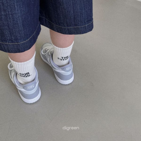 Digreen 未來襪