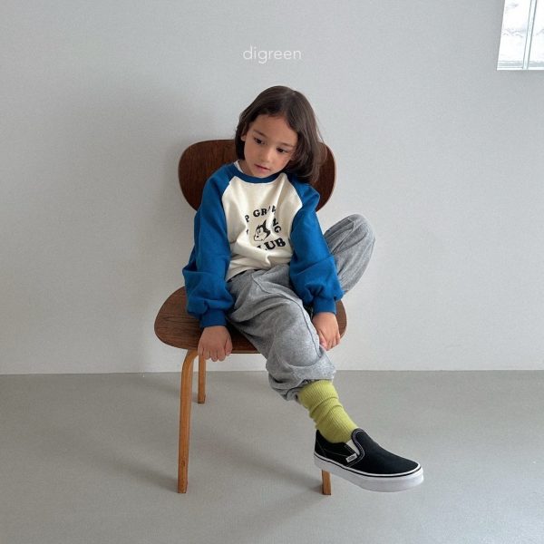 Digreen 素色坑條中筒襪 白綠咖組